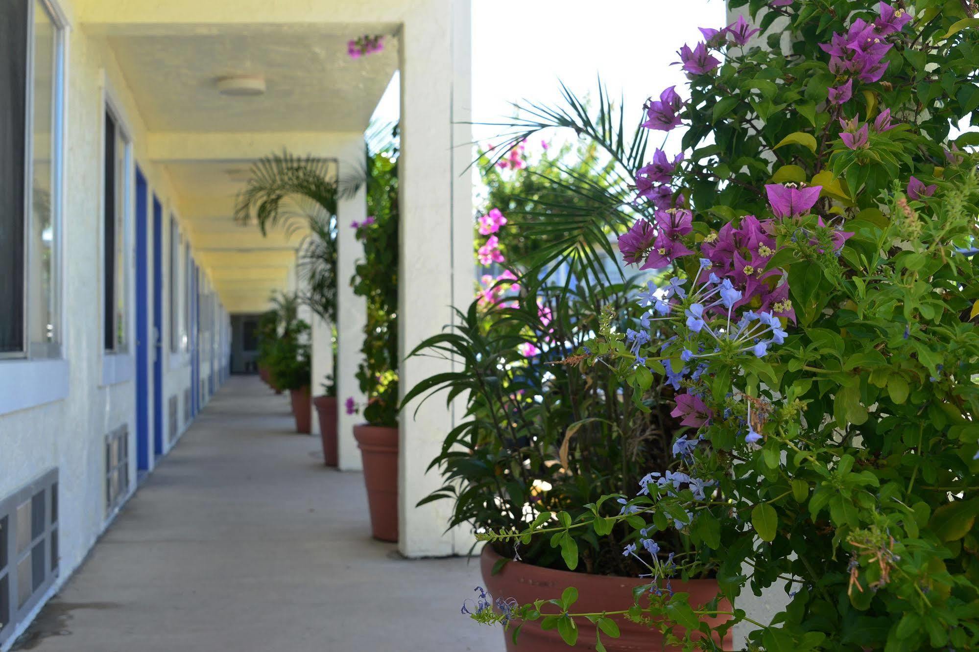 Americas Best Value Inn Bradenton-Sarasota Экстерьер фото